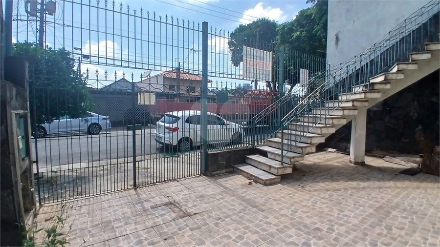 Foto REO1174946