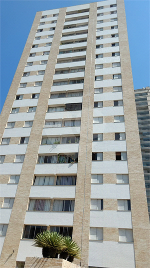 Foto REO117527