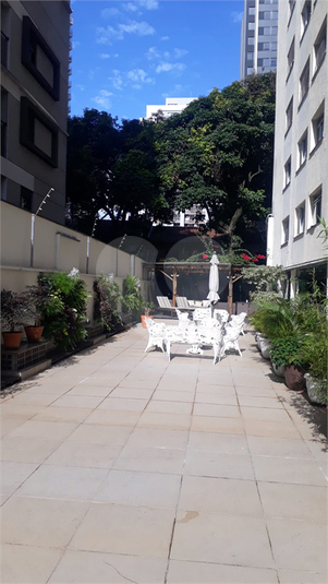 Foto REO1175435