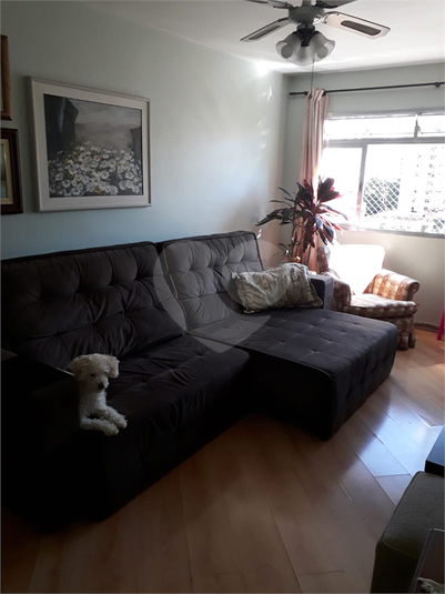 Foto REO1175435