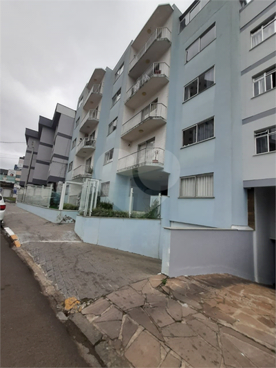 Foto REO1175614