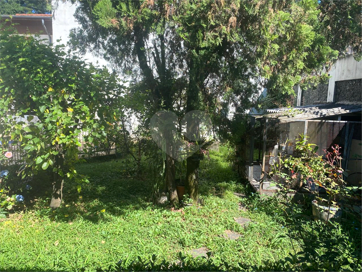 Foto REO1175631