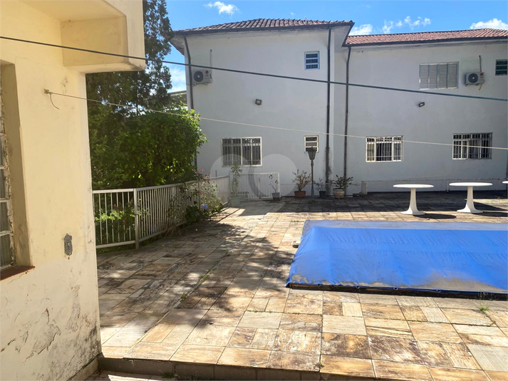 Foto REO1175631