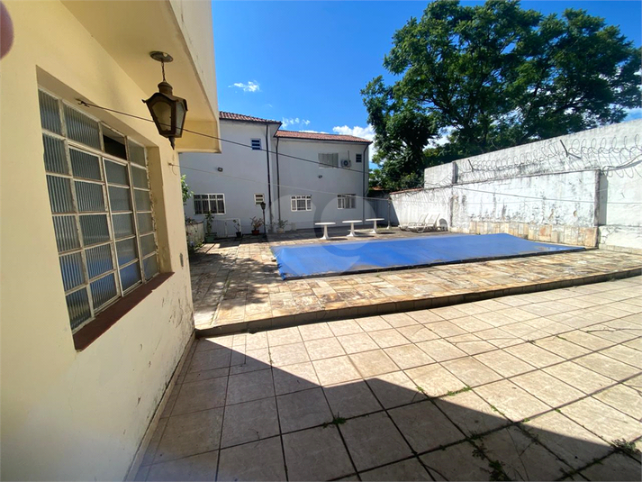 Foto REO1175631