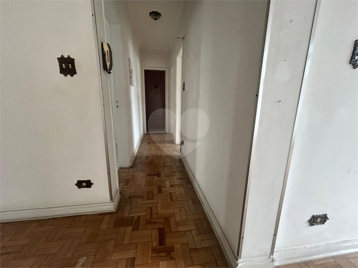 Foto REO1175962