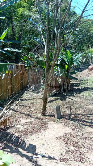 Foto REO1176438