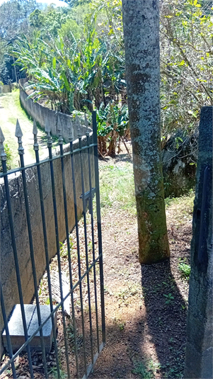 Foto REO1176438