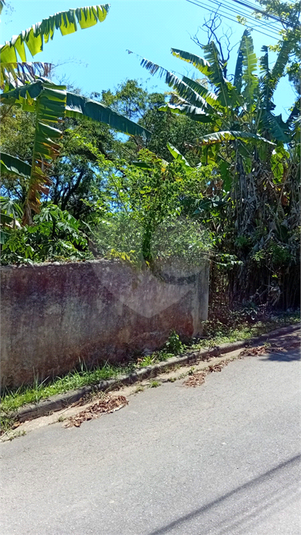 Foto REO1176438