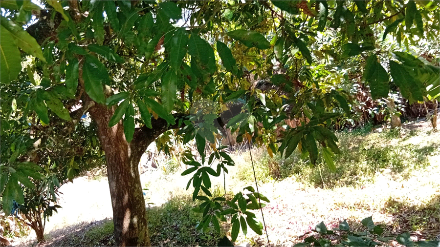 Foto REO1176438