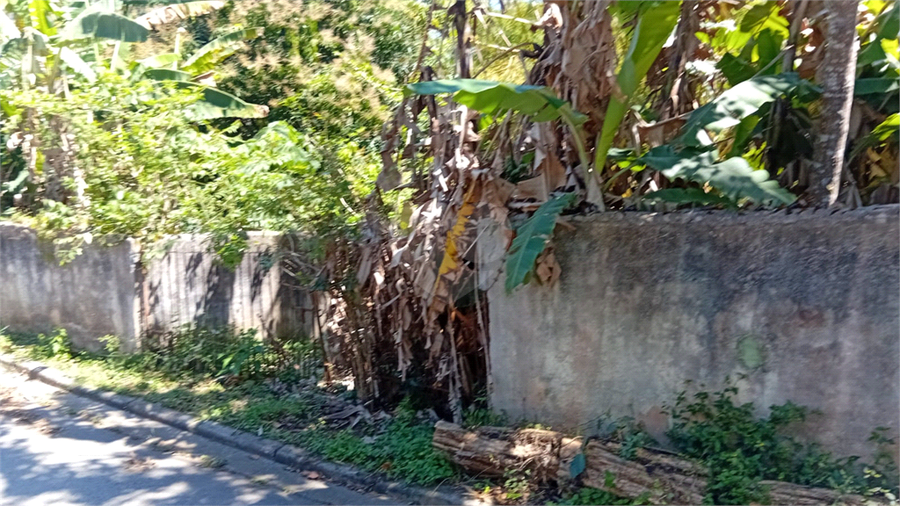 Foto REO1176438