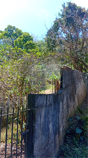 Foto REO1176438