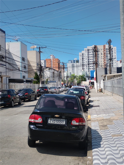 Foto REO1176589