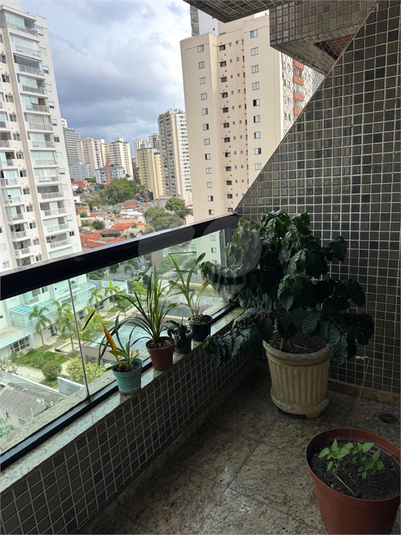 Foto REO1176706