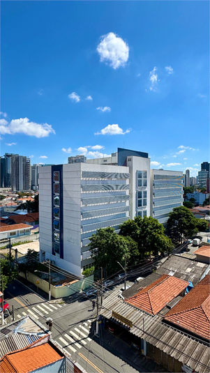 Foto REO1176725