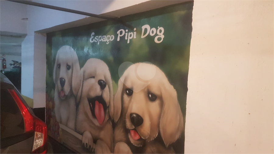PIP DOG