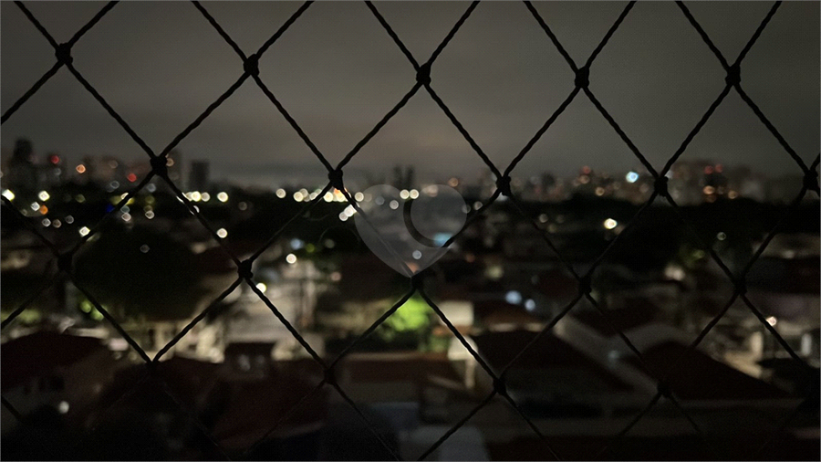 Foto REO117682