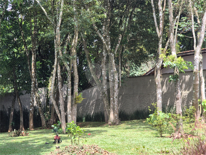 Foto REO1176871