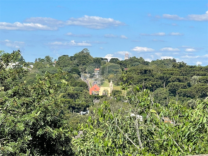 Foto REO1176923