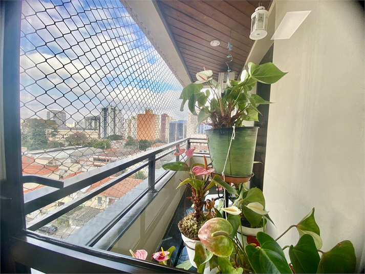 Foto REO117727