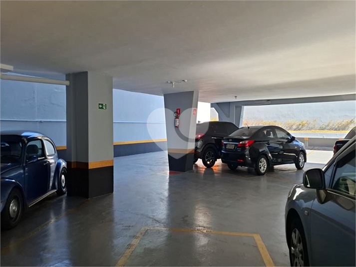 Foto REO1177371