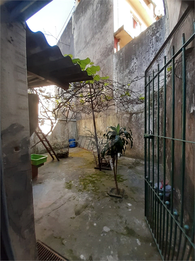 Foto REO1177453