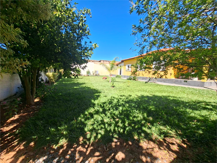 Foto REO1177527