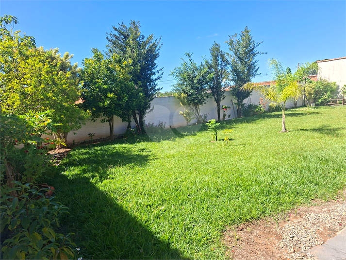 Foto REO1177527