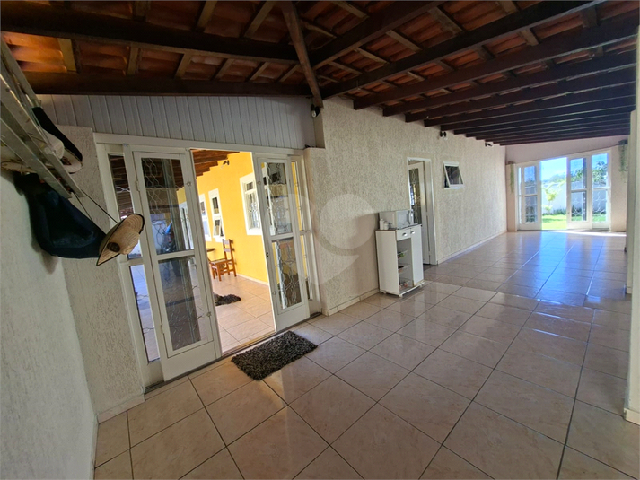 Foto REO1177527