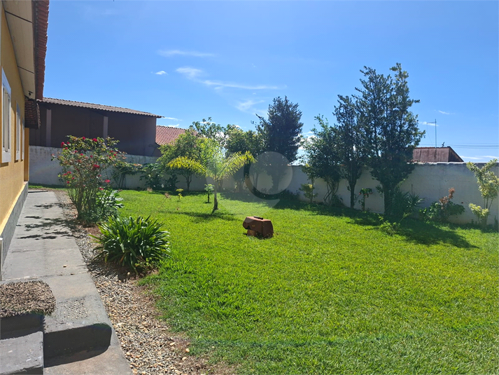 Foto REO1177527