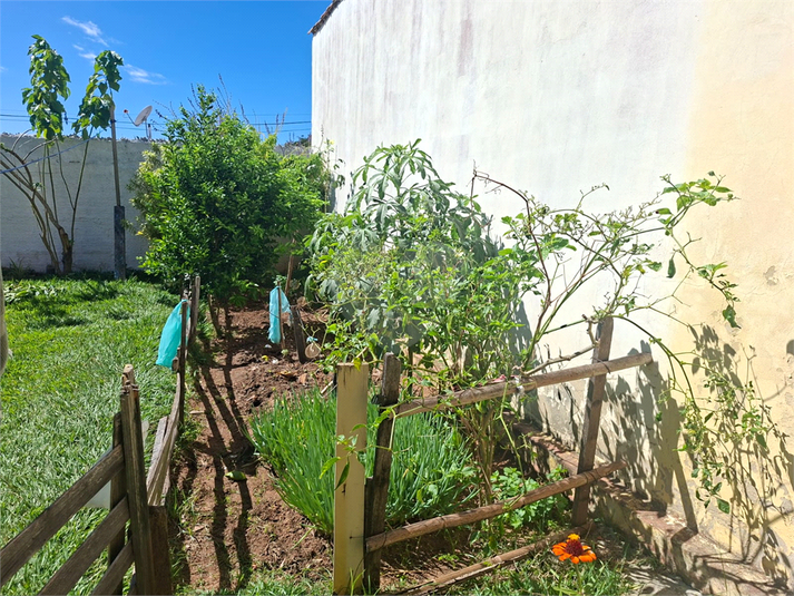 Foto REO1177527