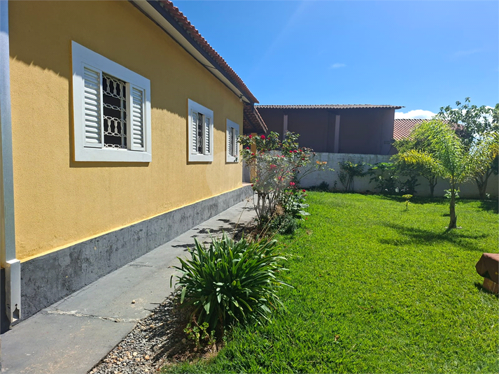 Foto REO1177527