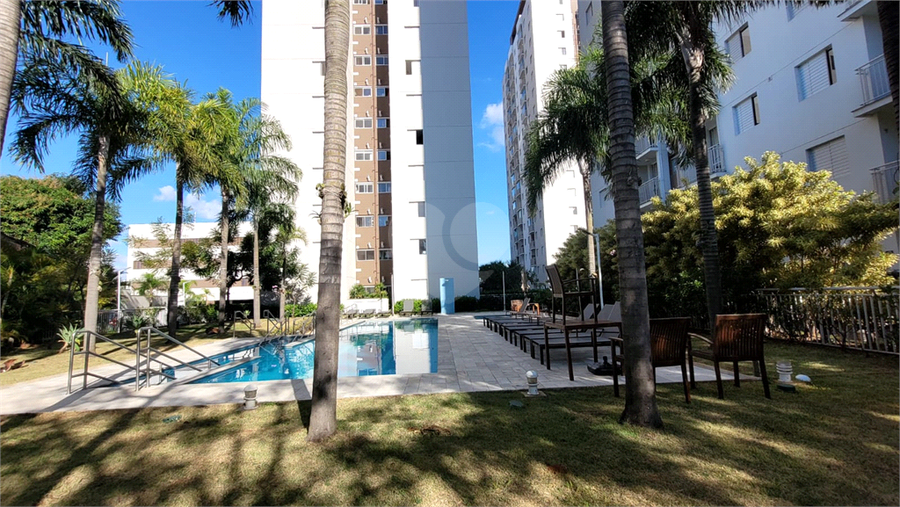 Foto REO117783