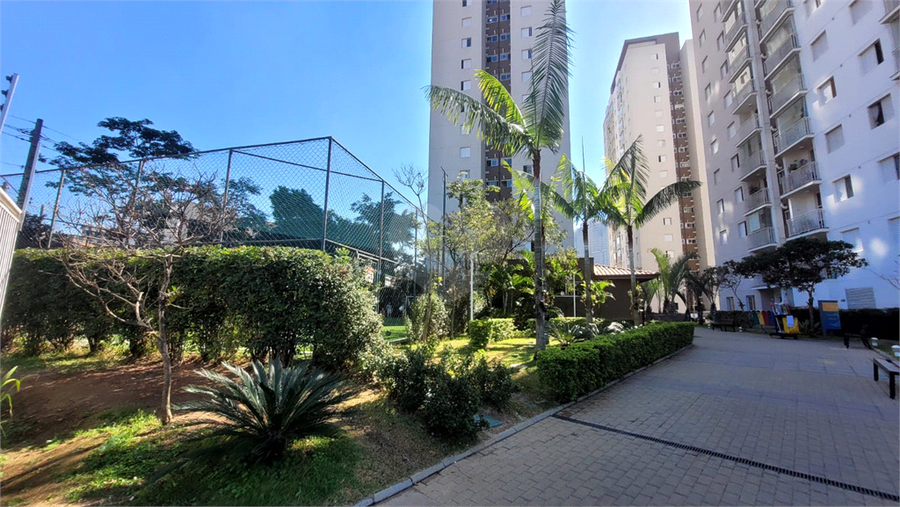 Foto REO117783