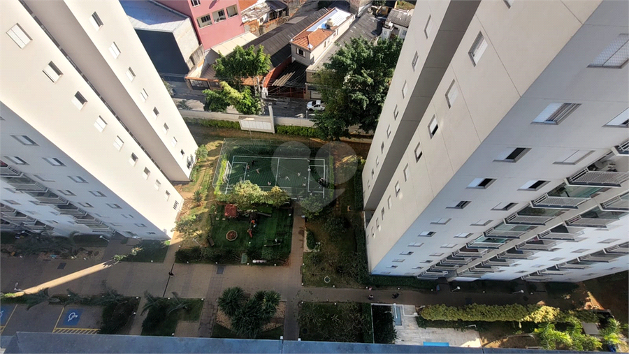 Foto REO117783