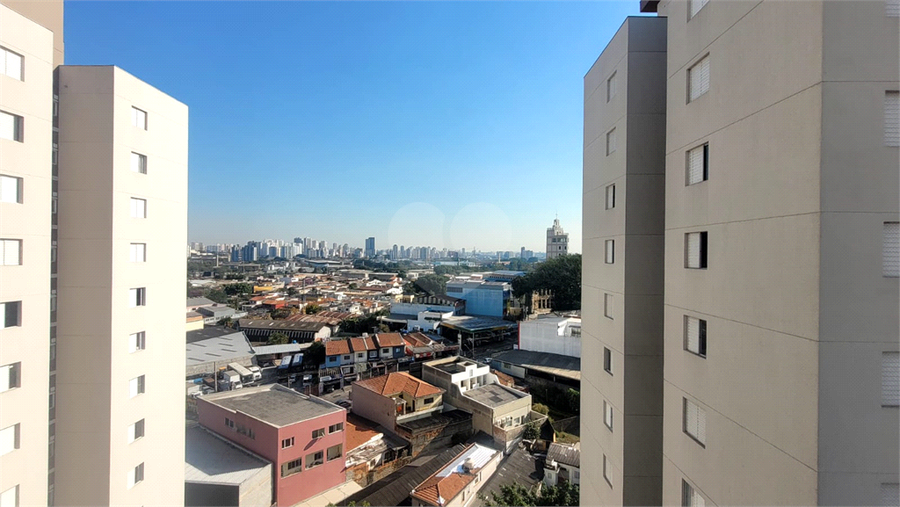 Foto REO117783