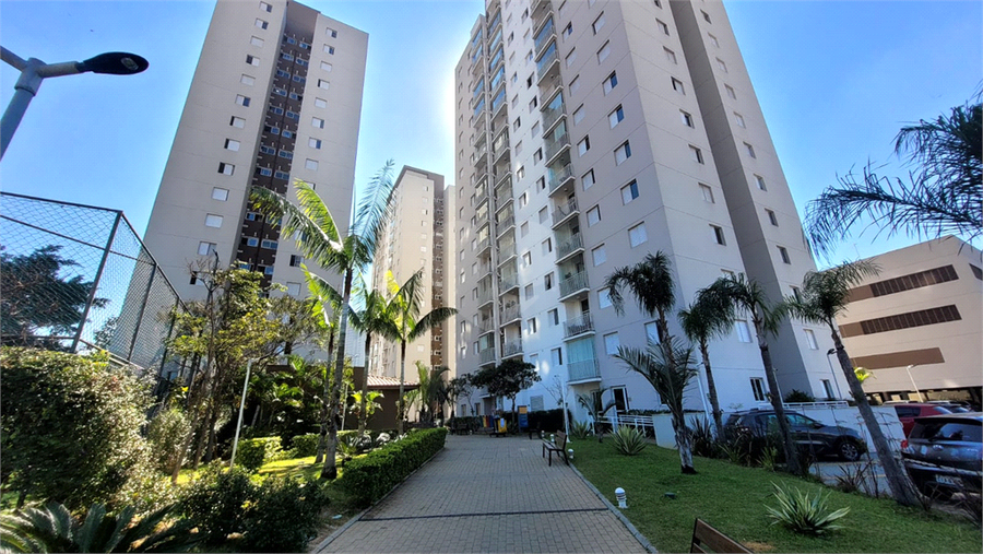 Foto REO117783