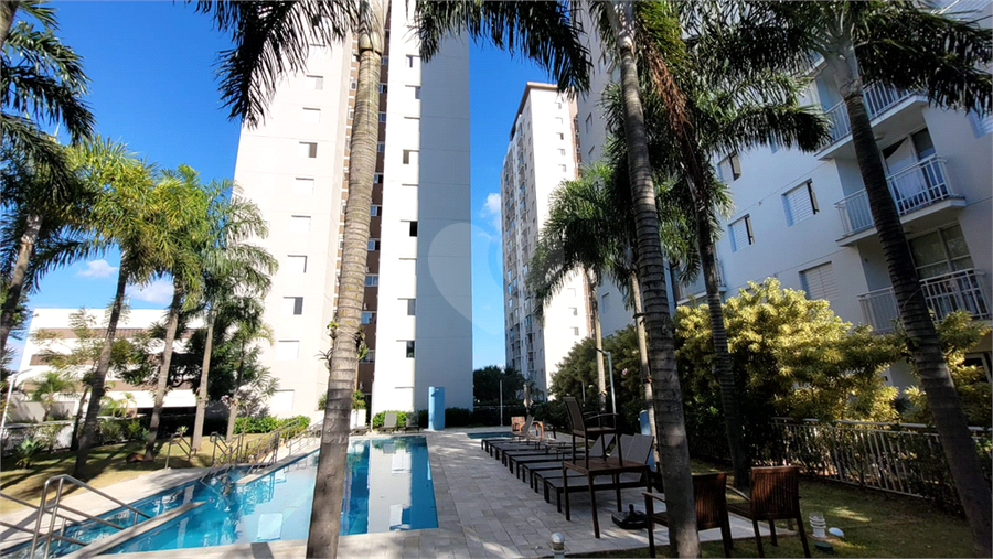 Foto REO117783
