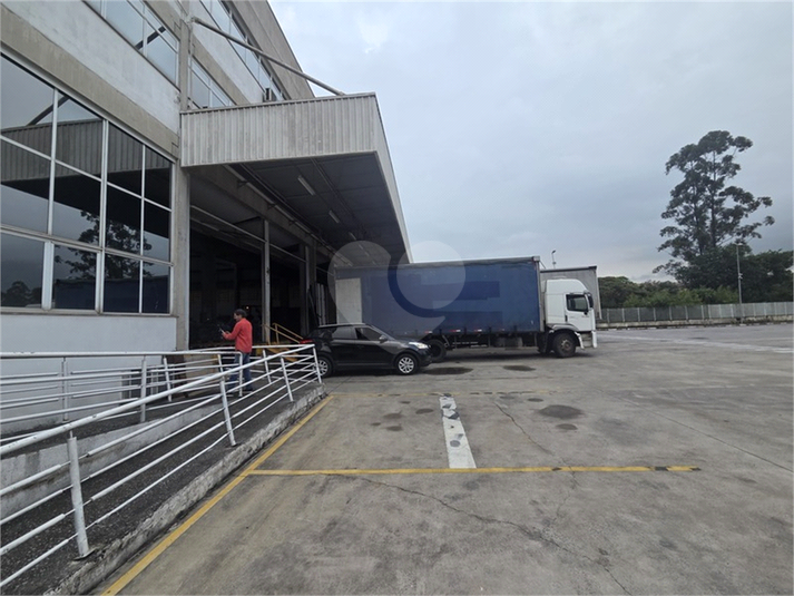 Foto REO1178169