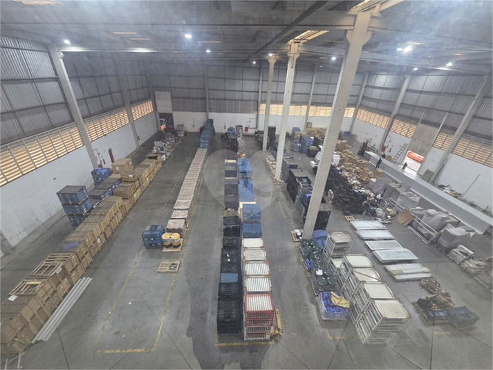 Foto REO1178169