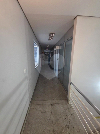 Foto REO1178169