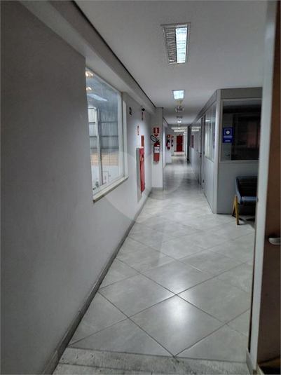 Foto REO1178169