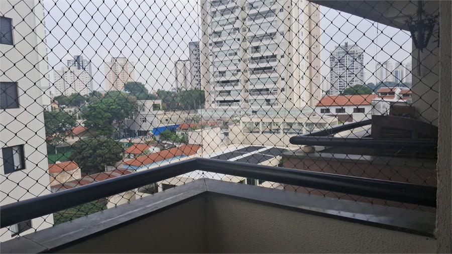Foto REO1178424