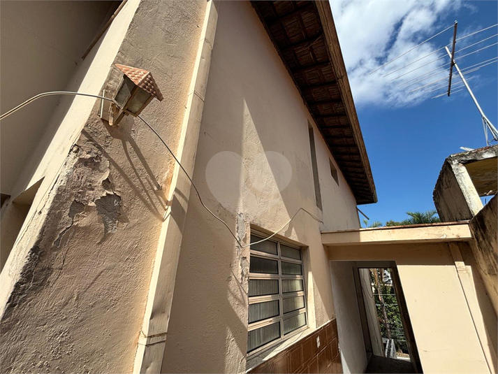 Foto REO1178458