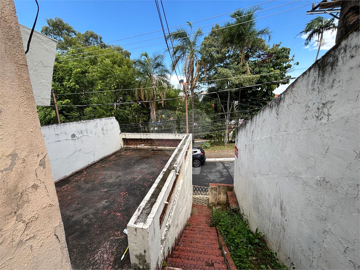 Foto REO1178458