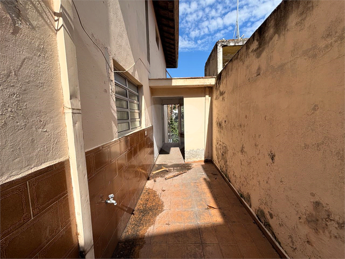 Foto REO1178458