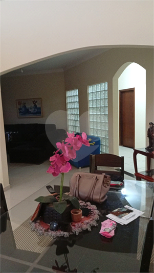 Foto REO1178553