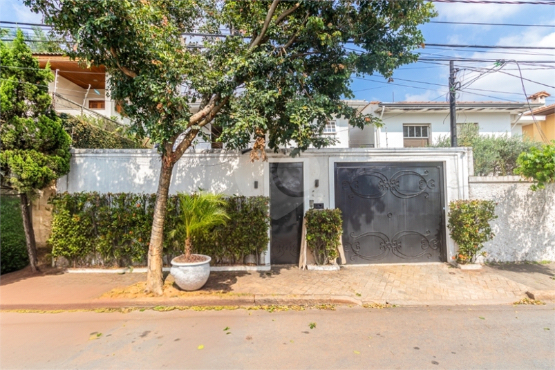 Foto REO1178611
