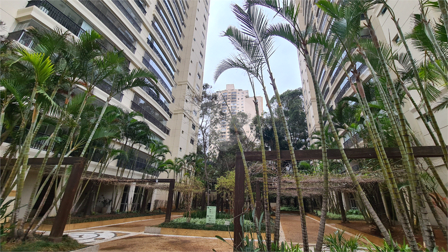 Foto REO1178644