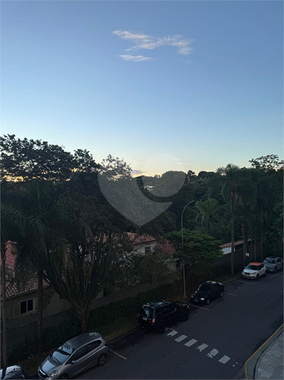 Foto REO1178696