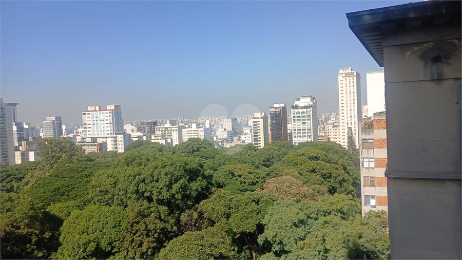 Foto REO1178898